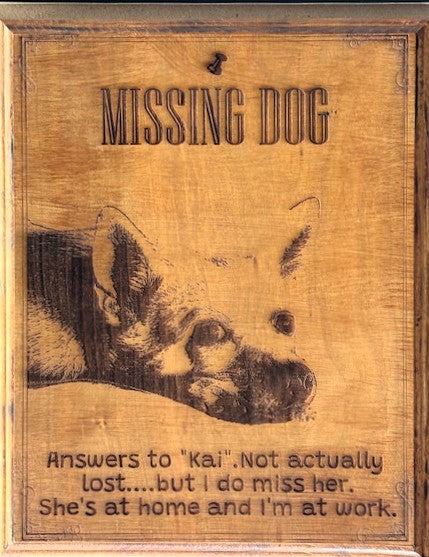 MISSING MY PET